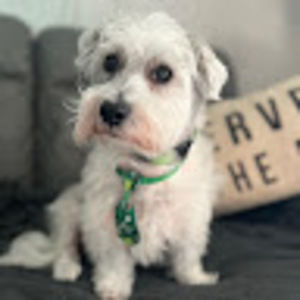 Meet your Posher, Debra